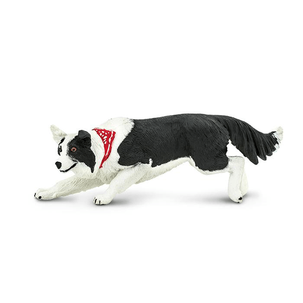 Safari Ltd. Border Collie - Pisces Pet Emporium