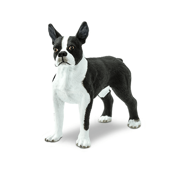 Safari Ltd. Boston Terrier - Pisces Pet Emporium