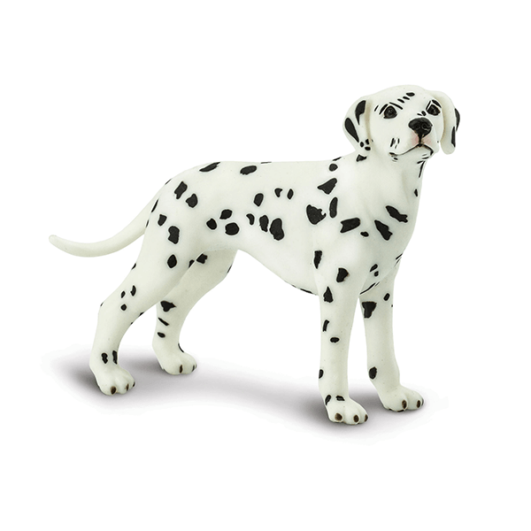 Safari Ltd. Dalmation - Pisces Pet Emporium