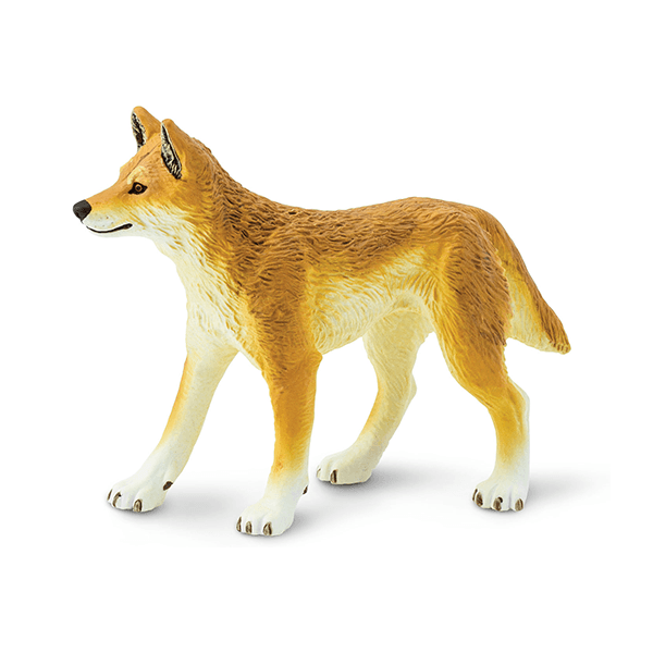 Safari Ltd. Dingo - Pisces Pet Emporium