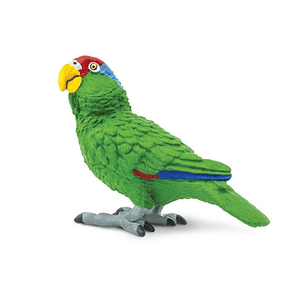 Safari Ltd. Green-Cheeked Amazon Parrot - Pisces Pet Emporium