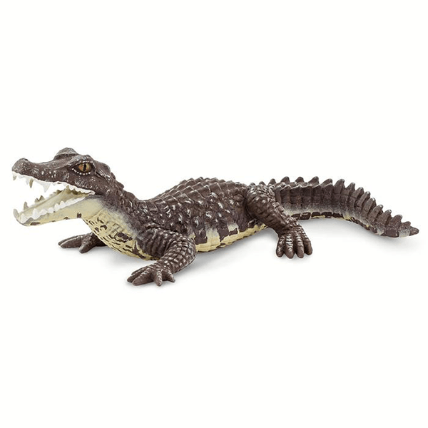 Safari Ltd. Caiman - Pisces Pet Emporium