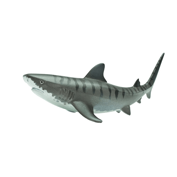 Safari Ltd. Tiger Shark - Pisces Pet Emporium