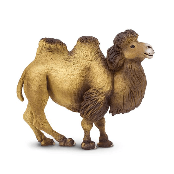 Safari Ltd. Bactrian Camel - Pisces Pet Emporium