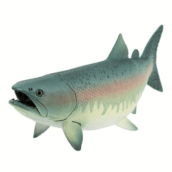 Safari Ltd. Salmon - Pisces Pet Emporium