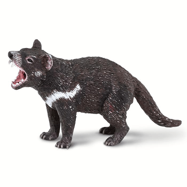 Safari Ltd. Tasmanian Devil - Pisces Pet Emporium