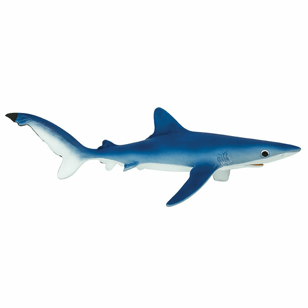 Safari Ltd. Blue Shark - Pisces Pet Emporium