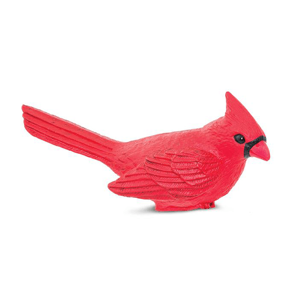 Safari Ltd. Cardinal - Pisces Pet Emporium