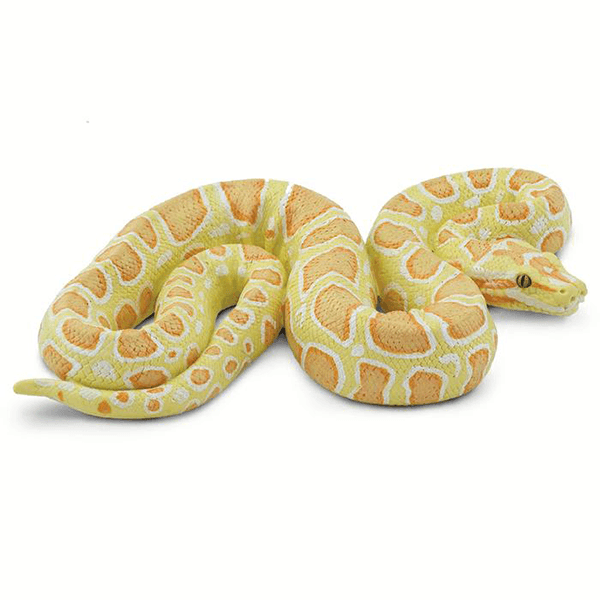 Safari Ltd. Albino Burmese Python - Pisces Pet Emporium