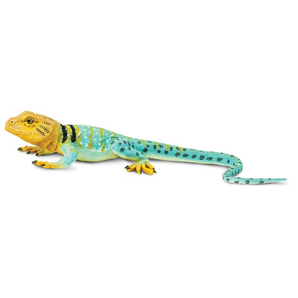 Safari Ltd. Collared Lizard - Pisces Pet Emporium
