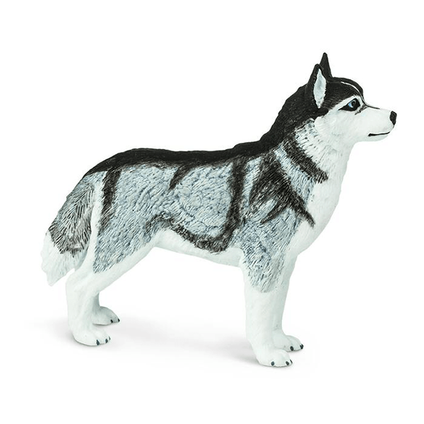 Safari Ltd. Siberian Husky - Pisces Pet Emporium