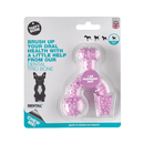 TastyBone Dental Trio Bone - Raspberry Mint - Pisces Pet Emporium