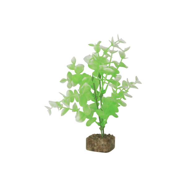 Tetra GloFish Medium Green/White Plant - Pisces Pet Emporium