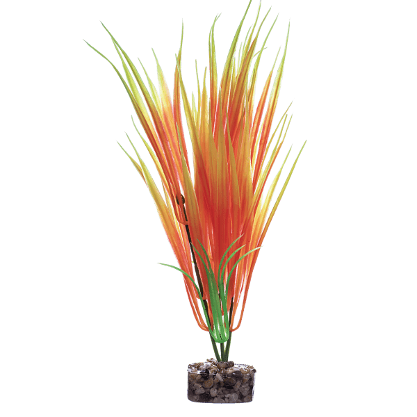 Tetra GloFish Medium Orange/Yellow Plant - Pisces Pet Emporium