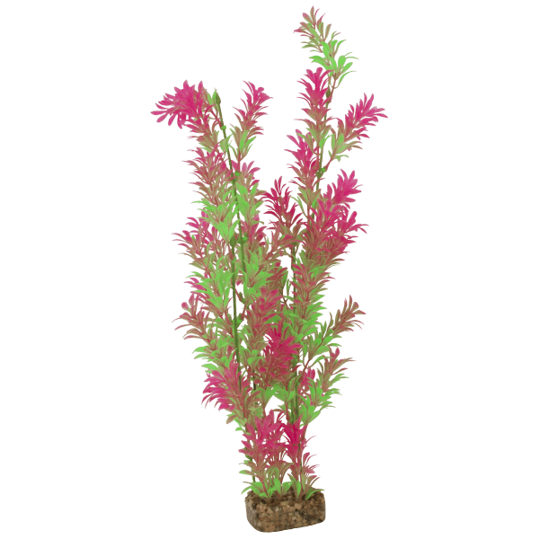 Tetra GloFish X-Large Green/Pink Plant - Pisces Pet Emporium