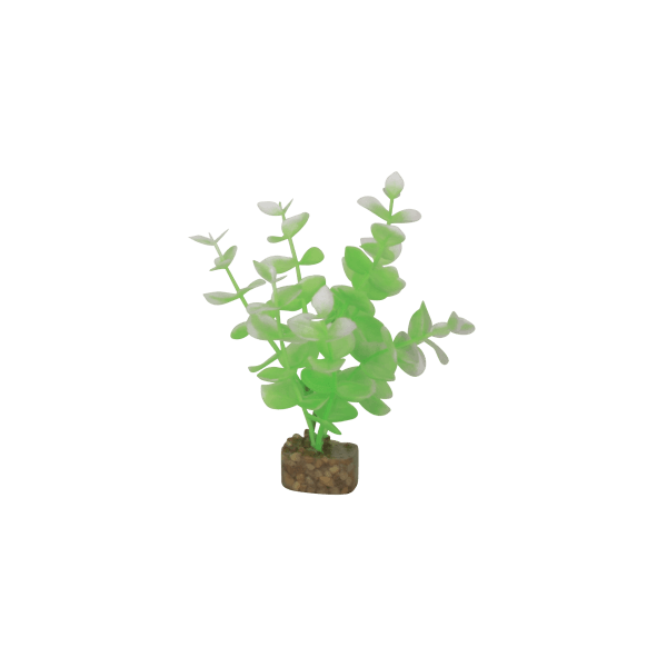 Tetra GloFish Small Green/White Plant - Pisces Pet Emporium