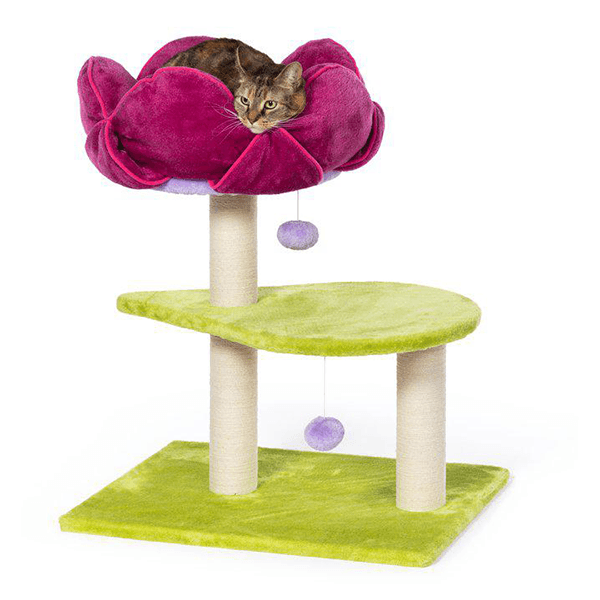 Prevue Hendryx Flower Power Cat Tree - Pisces Pet Emporium