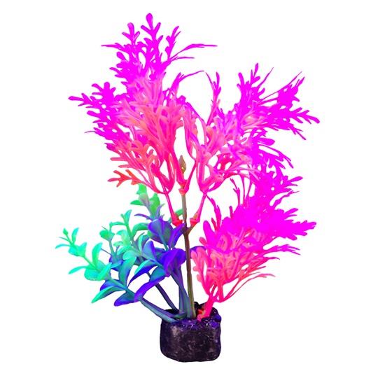 Marina iGlo Plant 14 cm (5.5 in) | Pisces