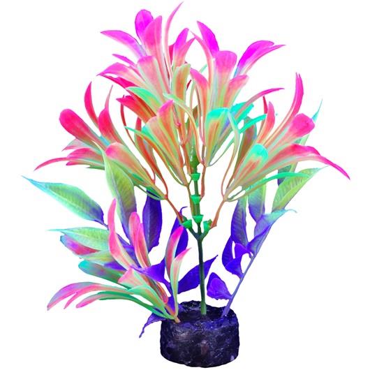 Marina iGlo Plant 14 cm (5.5 in) | Pisces