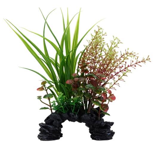 Fluval Aqualife Plant Sagittarius/ Rotala Mix | Pisces