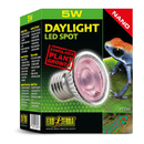 Exo Terra Daylight LED Spot Nano - 5 W - Pisces Pet Emporium