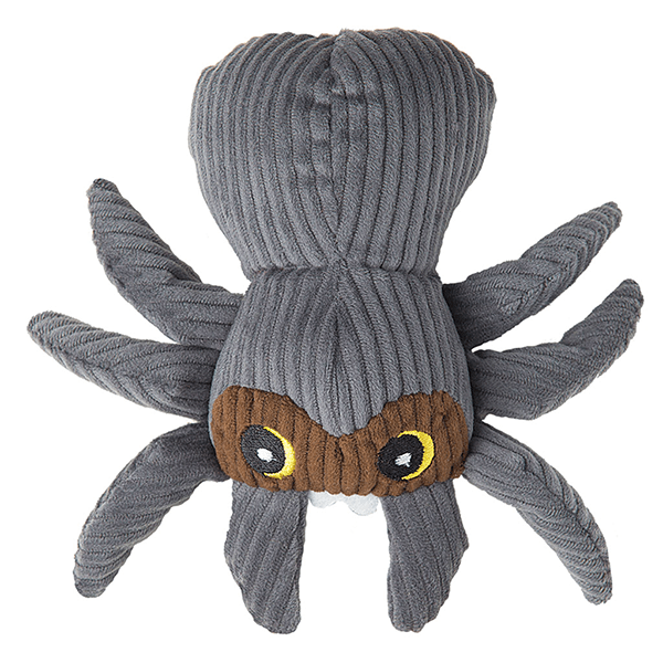 Patchwork Pet Spider - Pisces Pet Emporium