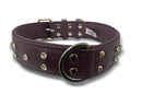 Angel Athens Collar - Purple - Pisces Pet Emporium