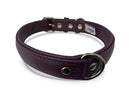Angel Alpine Collar - Purple - Pisces Pet Emporium