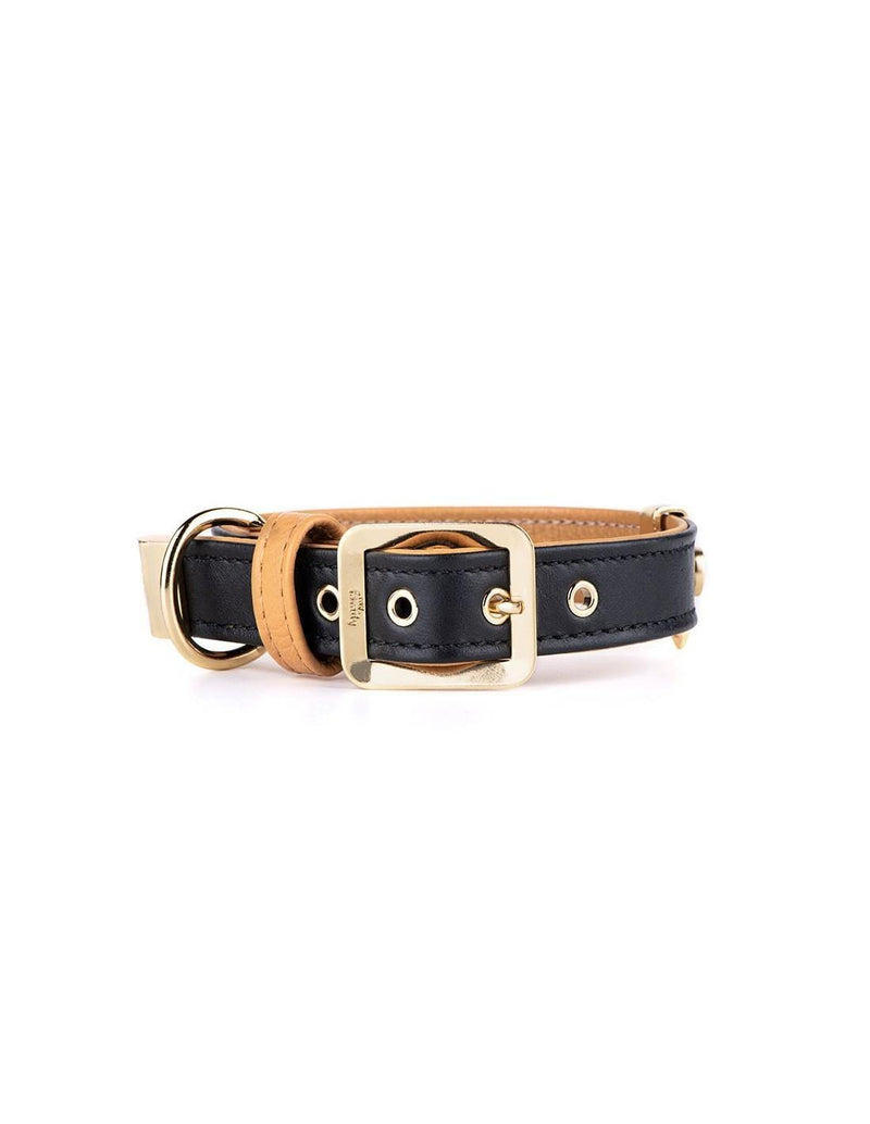 MyFamily Hermitage Collar - Black/Ochre - Pisces Pet Emporium