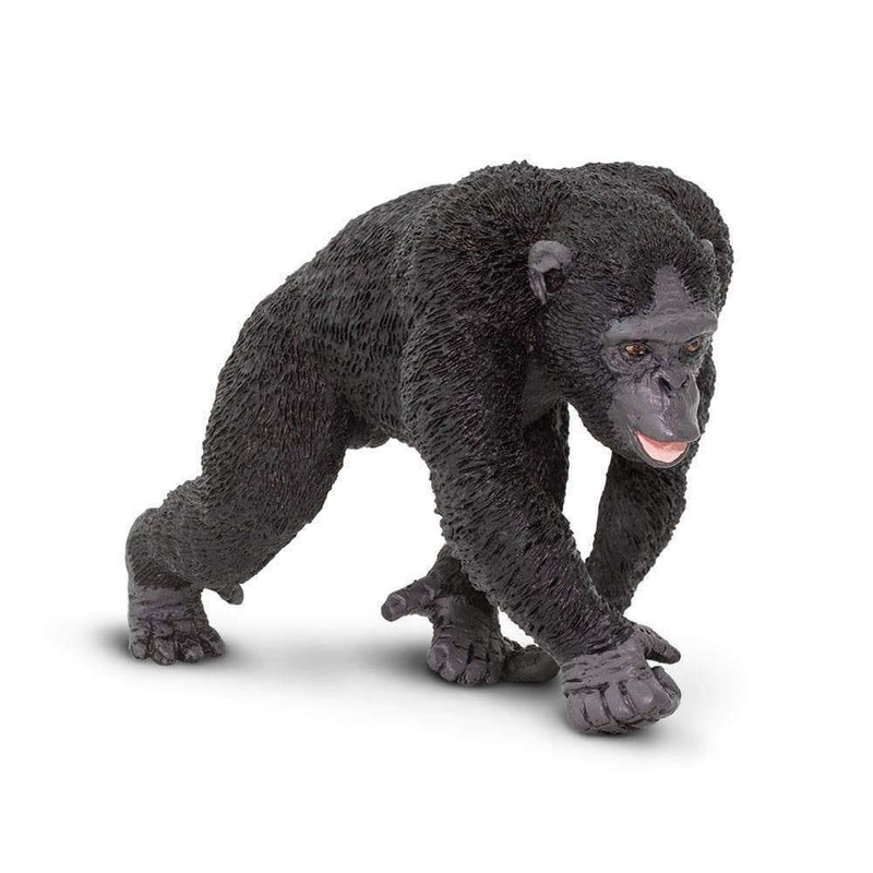 Safari Ltd. Chimpanzee - Pisces Pet Emporium