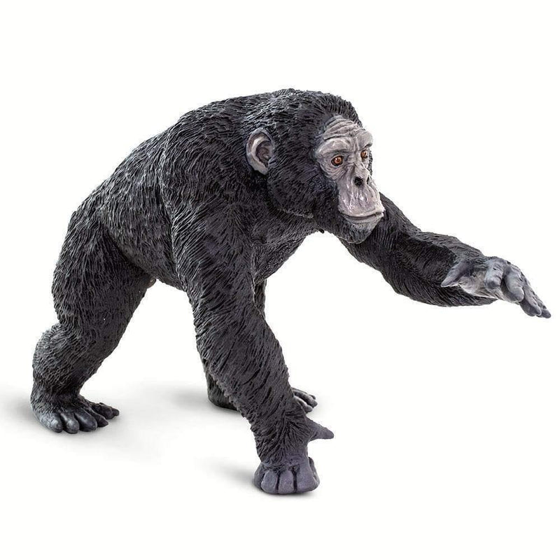 Safari Ltd. Chimpanzee - Pisces Pet Emporium