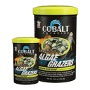 Cobalt Algae Grazers - Pisces Pet Emporium