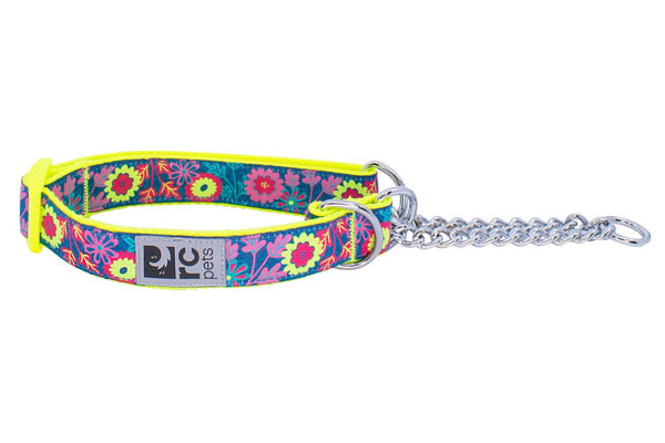RC Pets Training Collar - Flower Power Dog | Pisces