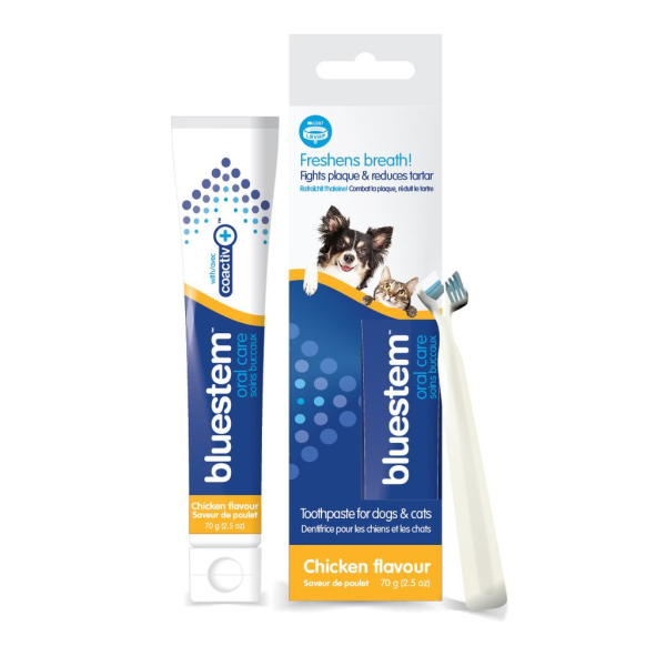 Bluestem Toothpaste & Brush Combo - Chicken Flavour 70g - Pisces Pet Emporium