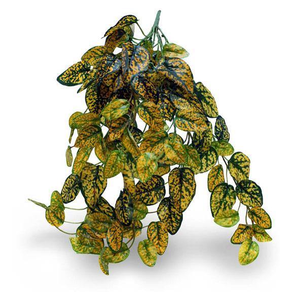 Pangea Hanging Bush - Japanese Laurel 18in - Pisces Pet Emporium