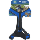 PetSafe EasySport Harness - Blue - Pisces Pet Emporium