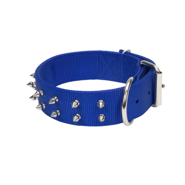 MachoDog Double Nylon Spike Collar - Blue - Pisces Pet Emporium