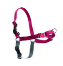 Pet Safe Easy Walk Harness - Raspberry - Pisces Pet Emporium