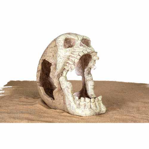 Penn Plax Reptology - Skull Hideaway X-Large - Pisces Pet Emporium