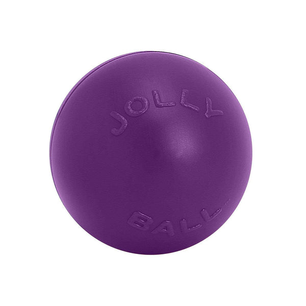 Jolly Pets Push n Play - Purple 3in - Pisces Pet Emporium