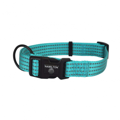 Hamilton Reflective Dog Collar - Turquoise - Pisces Pet Emporium