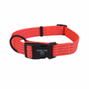 Hamilton Reflective Dog Collar - Hot Orange - Pisces Pet Emporium