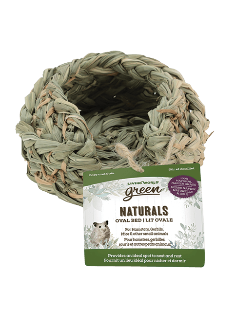 Living World Green Naturals - Oval Bed - Pisces Pet Emporium