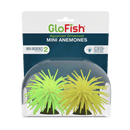 Tetra GloFish Anemone - Pisces Pet Emporium