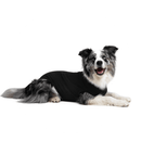 Suitical Recovery Suit for Dogs - Black - Pisces Pet Emporium