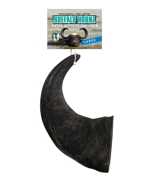 QT Buffalo Horn - Large - Pisces Pet Emporium