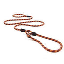 Ezydog Luca Leash - Available in Multiple Colours - Pisces Pet Emporium
