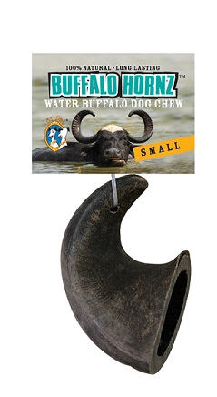 QT Buffalo Horn - Small - Pisces Pet Emporium