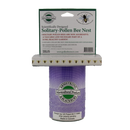 Pollen Bee Nest - Pisces Pet Emporium