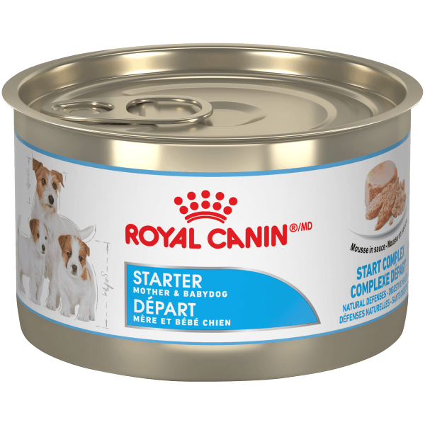 Royal Canin Starter Mousse - Mother & Babydog 145g - Pisces Pet Emporium